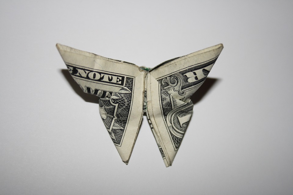 dolarový motýl