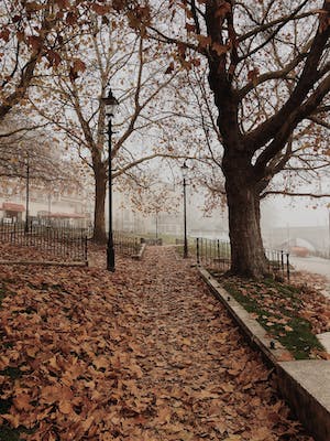 Park na podzim